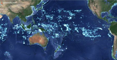 capture global fishing watch south pacific 16jan2019